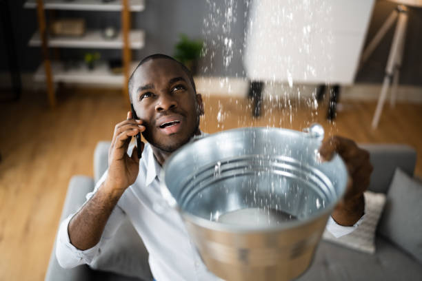 Best Carpet water damage restoration  in Warren, MI
