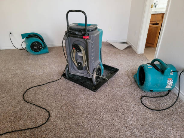 Best Basement water damage restoration  in Warren, MI