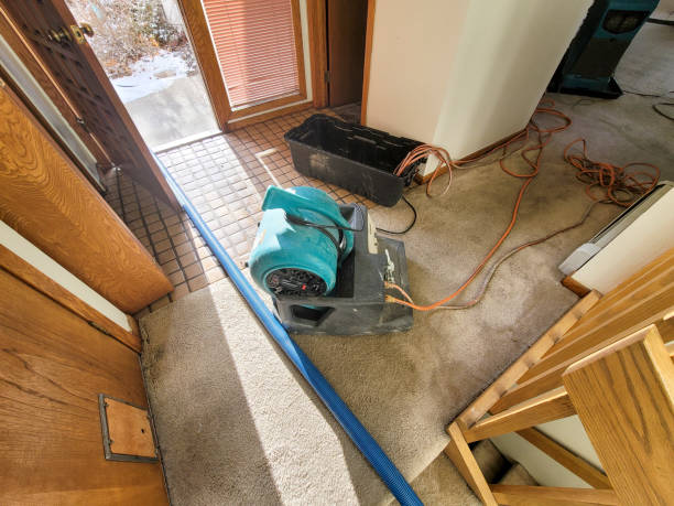 Best Emergency water extraction  in Warren, MI