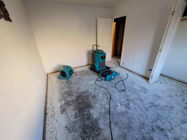 Best Water damage contractors near me  in Warren, MI