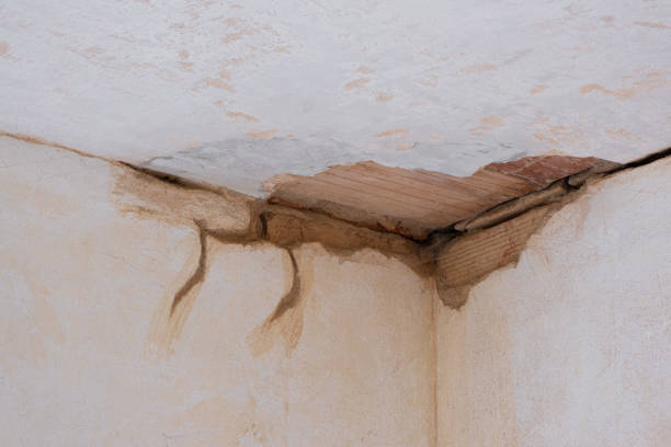 Best Flooded house restoration  in Warren, MI