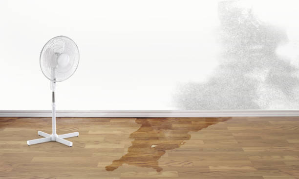 Best Professional water damage repair  in Warren, MI