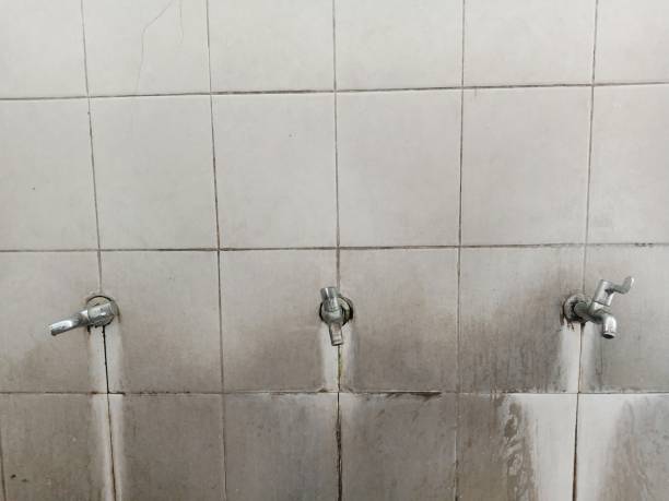 Best Ceiling water damage repair  in Warren, MI