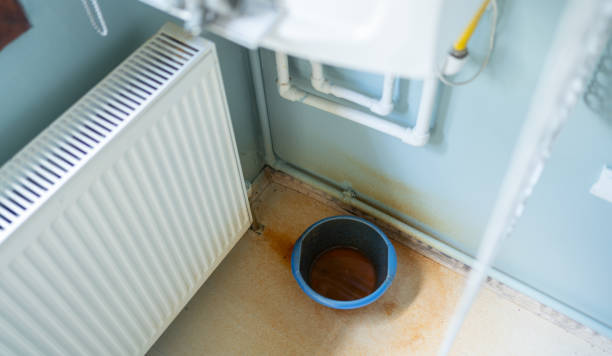 Best Water damage restoration near me  in Warren, MI