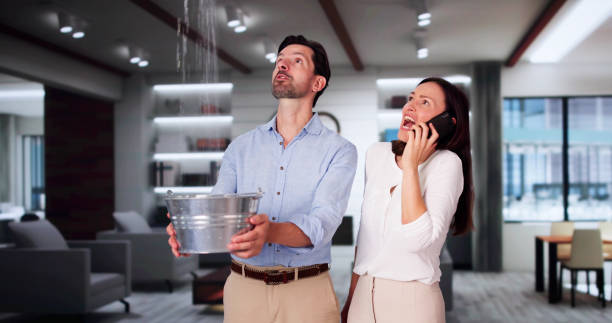 Best Emergency water damage restoration  in Warren, MI